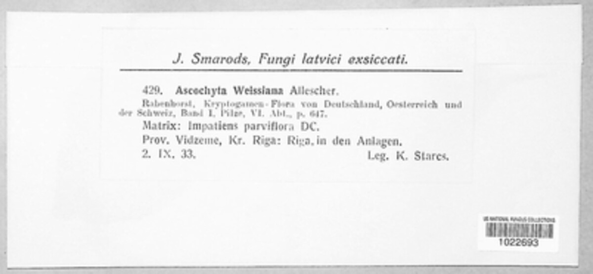 Ascochyta weissiana image